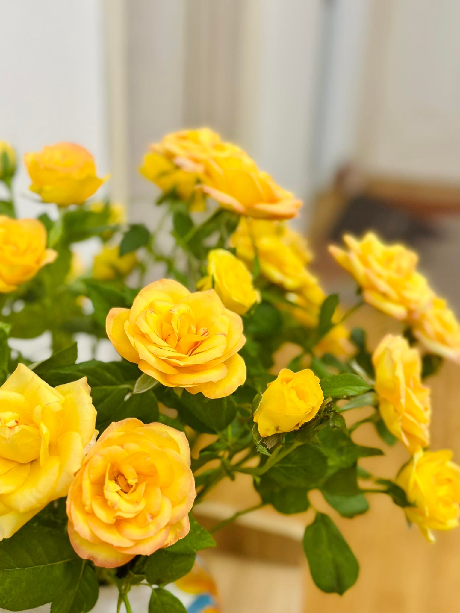 Hình minh họa cho bài viết Nếu cuộc đời toàn chuyện xấu xa