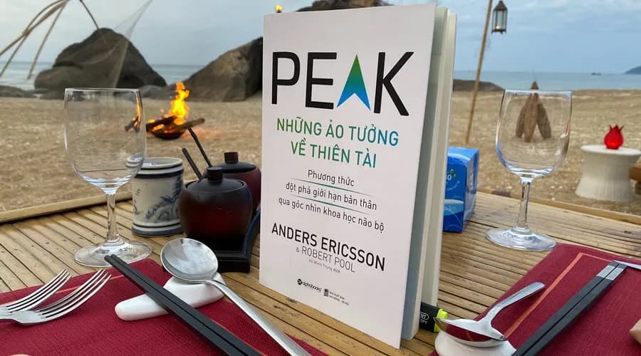 Ấn bản tiếng Việt - Những ảo tưởng về thiên tài. Ảnh: dothatworks.com