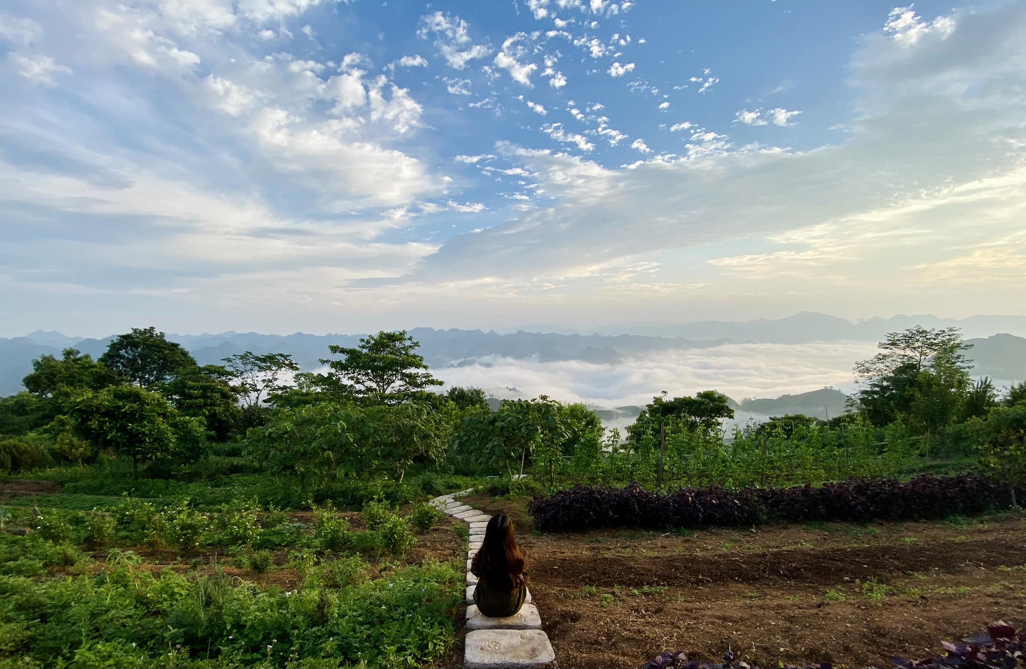 My wife sat in front of a sea of clouds in Skyline Farmstay